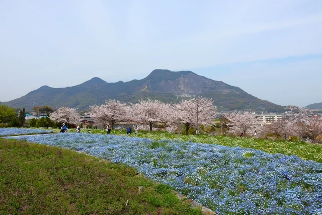 Street and landscape around Zentsuji