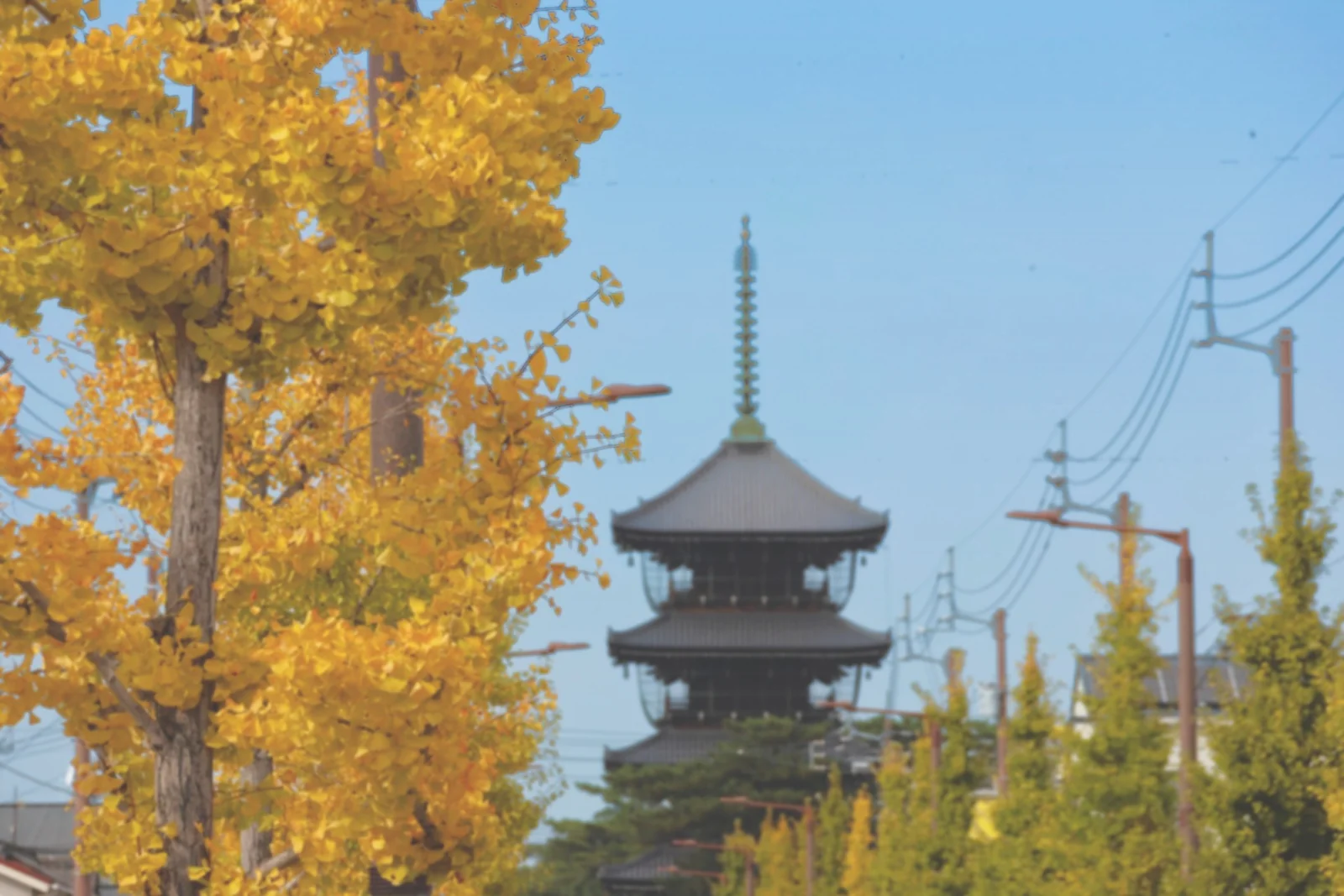 Shikoku pilgrimage atmosphere